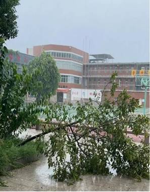 \"IMG_273\"