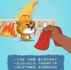 c91338f4654eb4fd0eddfb1e958eb53d